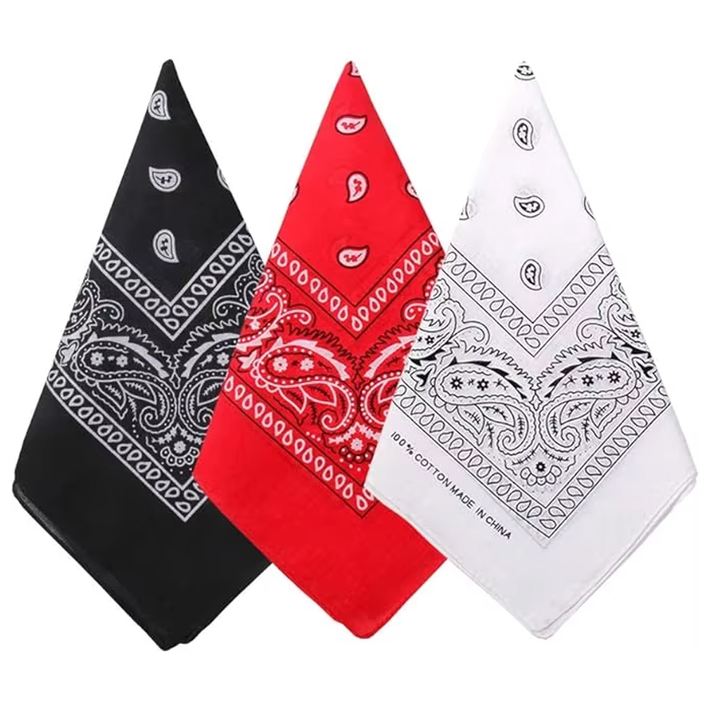 Hip Hop Cowboy Paisley Scarf L - Bandana Blank White review and price